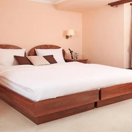Md Hotel 3*