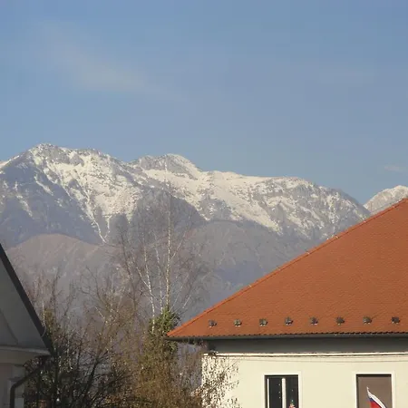 Md Kamnik