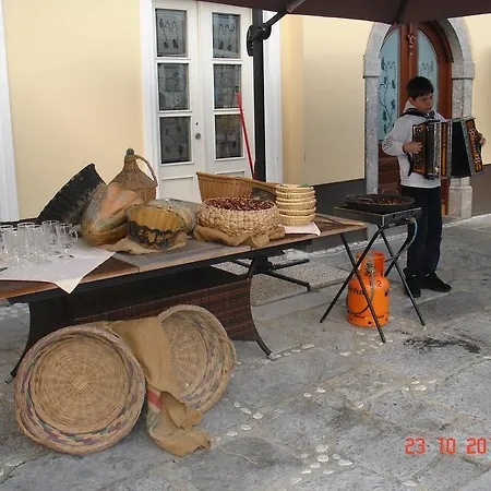 Md Kamnik